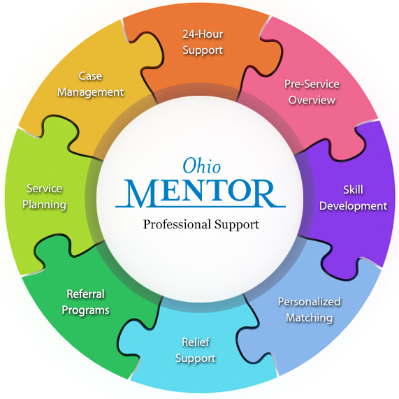 OH-Mentor-Support